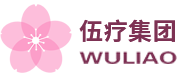 伍疗集团有限公司